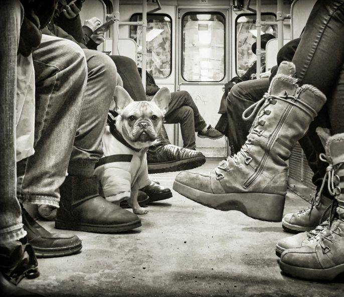 Horeca Hotel Saratoga Palma de Mallorca