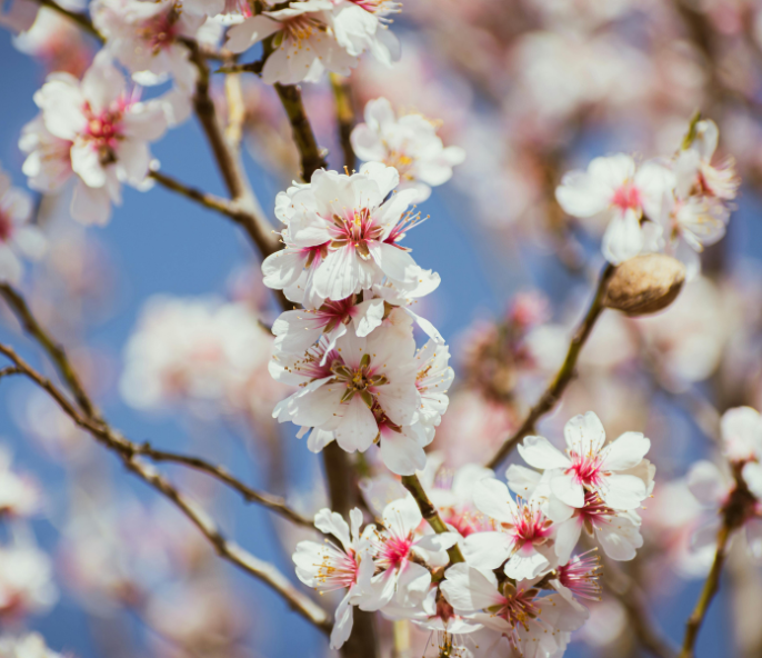 horeca hotel saratoga palma de mallorca