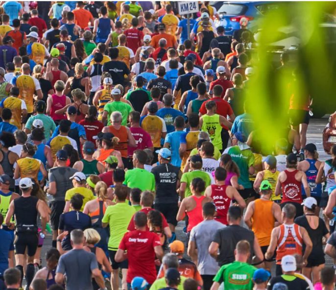 horeca hotel saratoga palma de mallorca