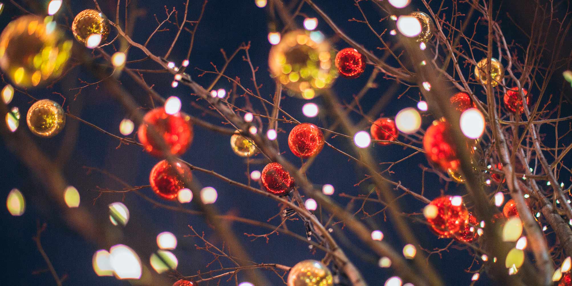 navidad hotel saratoga