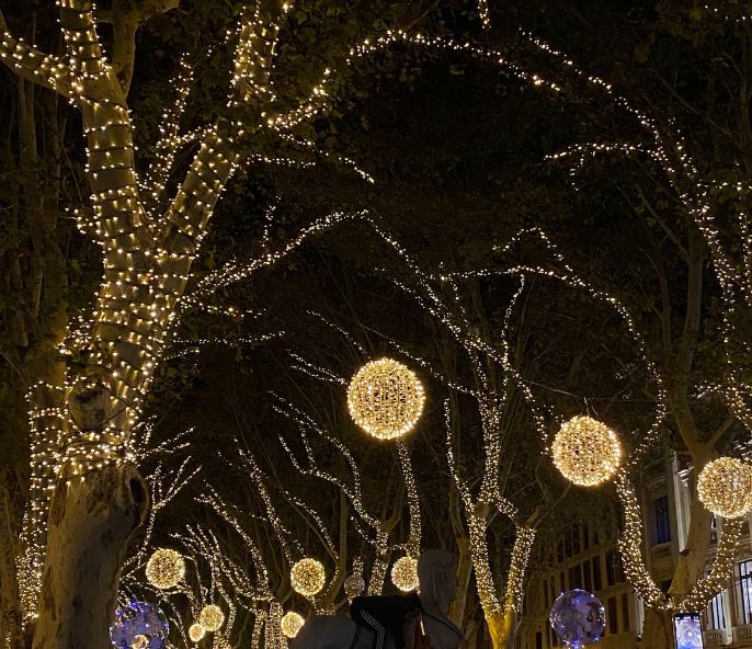 horeca hotel saratoga palma de mallorca