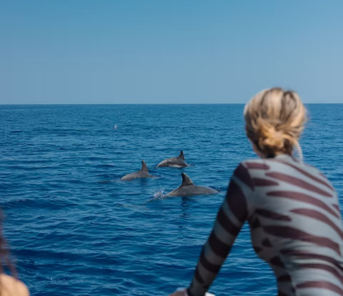 horeca hotel saratoga palma de mallorca